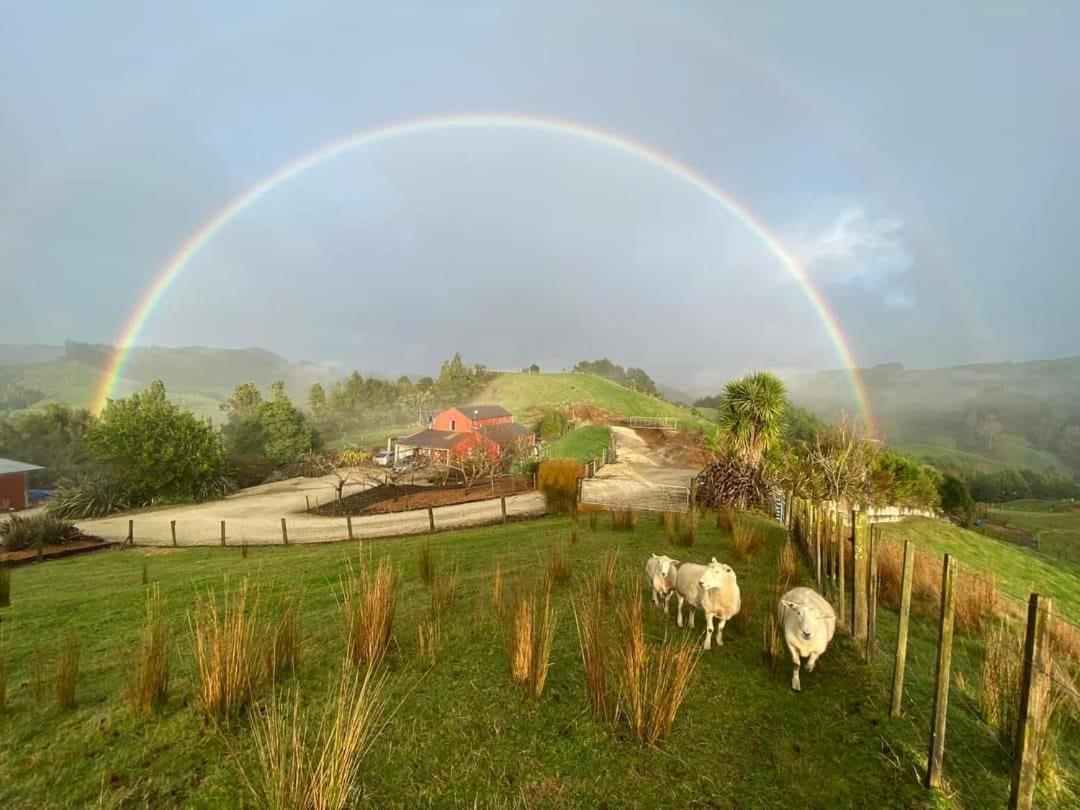 Nadarra Hideaway Acomodação com café da manhã Otorohanga Exterior foto